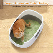 Self-Cleaning Litter Boxes