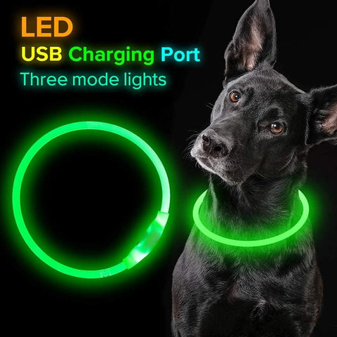 LED Collar