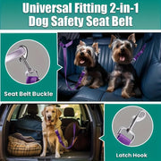 Car Tether Safety Leash