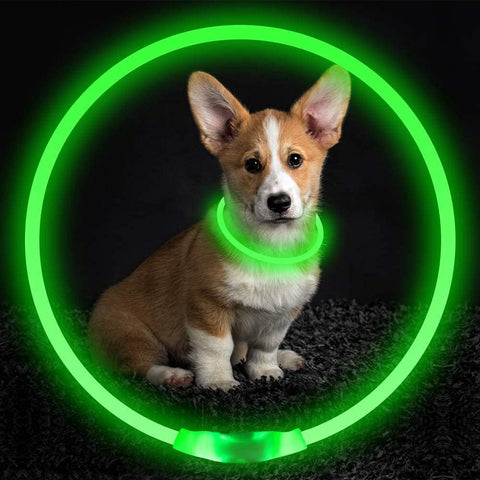 LED Collar