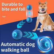 Automatic Rolling Ball