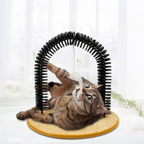 Cat Interactive Toy Arch