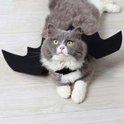 Black Bat Wings Harness