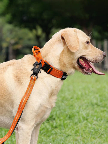 Orange Tactical Collar with Handle Metal Buckle