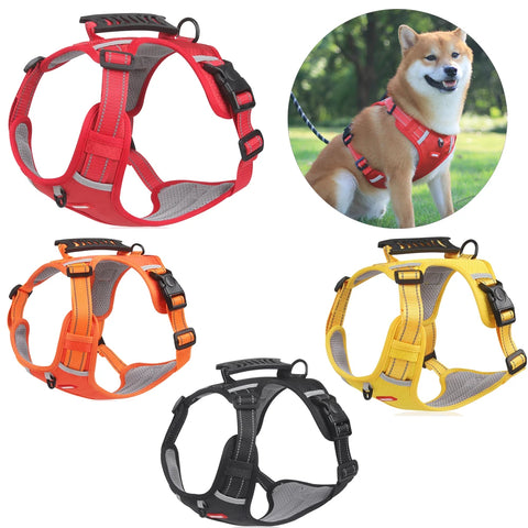 Reflective Adjustable Harness