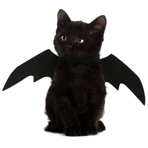 Black Bat Wings Harness