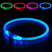 LED Collar