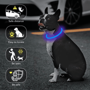 LED Collar