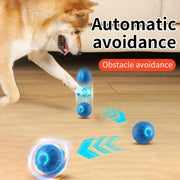 Automatic Rolling Ball