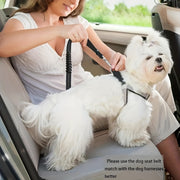 Car Tether Safety Leash