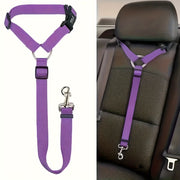 Car Tether Safety Leash