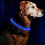 LED Collar