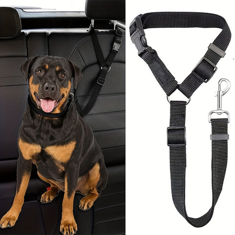 Car Tether Safety Leash